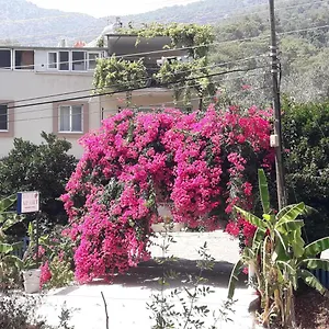 https://rose-apart.turkeyfethiyehotels.com