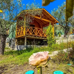 https://kazdaglari-saglikli-yasam-koyu.aegeanhotels.net